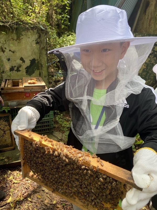 蜜蜂體驗│蜂蜜│野蜜、特殊蜂蜜品嘗│３小時行程：圖片 8