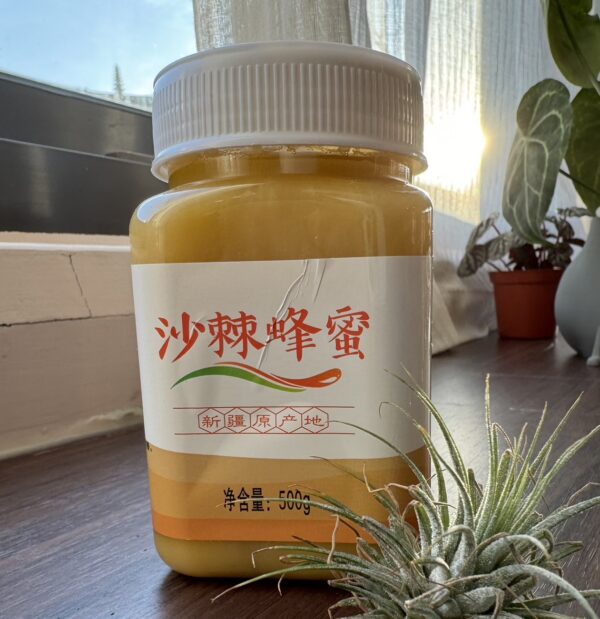 新疆-沙棗蜂蜜